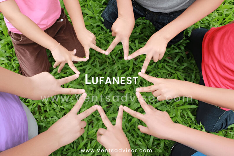 Lufanest – A Living Tradition of Harmony and Identity