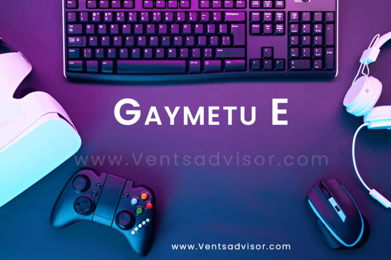 Gaymetu E: The Future of Gaming, Streaming, and Digital Community-Building